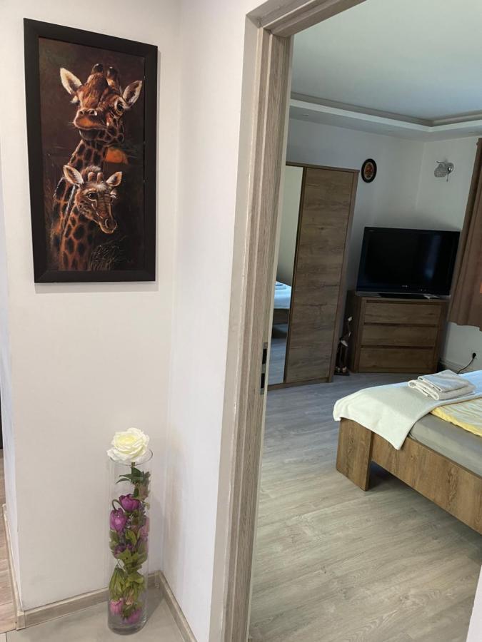 Prestige Apartament Эльблонг Экстерьер фото